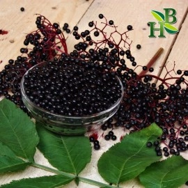 Herb to Body Organic Elderberry Whole - Wildcrafted - 4oz - Packaged with Care - Makes Great Syrup, Teas - Immune System