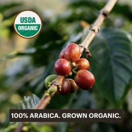 G GRANA Coffee Pods, Compatible with Nespresso OriginalLine, 40 Count, Dark and Medium-Dark Roast, USDA Organic 100% Arabica Single Source Specialty Coffee, Compostable Single Serve Capsules