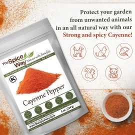 The Spice Way Red Pepper Premium Cayenne Ground - 8 oz - pure chile powder - Cayenne Powder, No GMO\'s, Kosher Certified