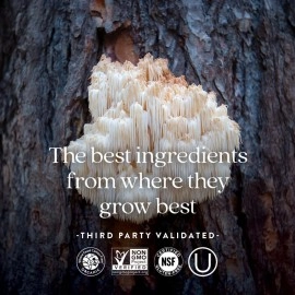 New Chapter Nerve Health Supplement for 3-in-1 Nerve Support from Head to Toe-Vitamin B1 Generates Energy for Nerves, Vitamin B6 Enhances Nerve Communication, Vitamin B12 Builds Nerve Insulation, 30ct