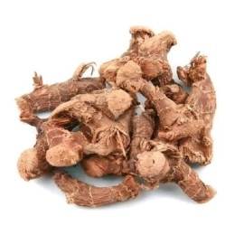 YOGIS GIFT - Celebrating health Dried Galangal root 1LB | Whole root | Alpinia Galangal | Ads wonderful flavour and aroma to soups | By 
