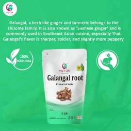 YOGIS GIFT - Celebrating health Dried Galangal root 1LB | Whole root | Alpinia Galangal | Ads wonderful flavour and aroma to soups | By 