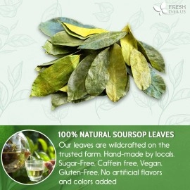 FRESHDRINKUS 120+ Premium Soursop Graviola Dried Leaves, 120-130 Natural Leaves, Whole Soursop Leaves, Wildcrafted, Graviola, Soursop, Hoja Guanabana, Soursop Loose Leaf Herbal Tea, No Gluten, Vegan