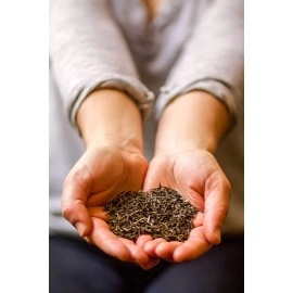 Golden Moon Tea Jasmine (Travel Tin)