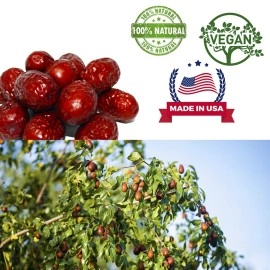 DABC OAK LAND DOL American Packaged Red Dates High Nutrition Jujube Dates High Vitamin Red Dates Gourmet Candied Dates Snack Food Red Dates Dried Fruits Sweet Red Dates (Red Dates, 1LB)