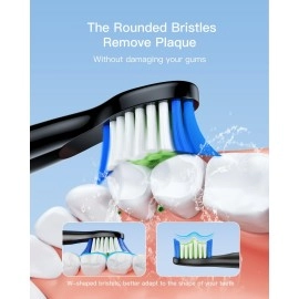 Bitvae Sonic Electric Toothbrush Replacement Heads Compatible with Daily D2 Rechargeable Toothbrush, Clean Toothbrush Heads Refills, 4 Pack