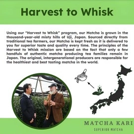 Matcha Kari Green Tea Powder Single Serving Sticks, Dr. Weil\'s Ceremonial Organic Powder Singles Packets - Individual Tea Packets (6)