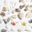 Qdsuh Summer Nail Art Rhinestones, 2 Boxes Tropical Ocean Nail Charms Shell Starfish Conch Sea Series 3D Beach Nail Design Accessories Manicure DIY Seashell Nail Decoration for Women Girls