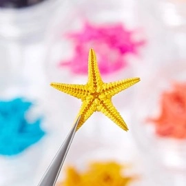 Qdsuh Summer Nail Art Rhinestones, 2 Boxes Tropical Ocean Nail Charms Shell Starfish Conch Sea Series 3D Beach Nail Design Accessories Manicure DIY Seashell Nail Decoration for Women Girls