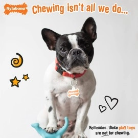 Nylabone Rexii Interactive Dog Toy for Small Dogs - Lightweight Flexible Dog Toy for Creative Play & Dog Exercise