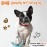 Nylabone Rexii Interactive Dog Toy for Small Dogs - Lightweight Flexible Dog Toy for Creative Play & Dog Exercise