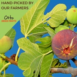 OTTONUTS Otto Snacks Dried Turkish Figs, Non-GMO Naturally Vegan Snack with No Added Sugar, Fat Free & Unsulfured, 8 OZ with Resealable Bag