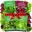 NatureZ Edge Lettuce Seeds for Planting, Red Romaine Lettuce, Bibb Butter Lettuce, Black Seeded Simpson, Green Ice Iceberg Lettuce, Non-GMO