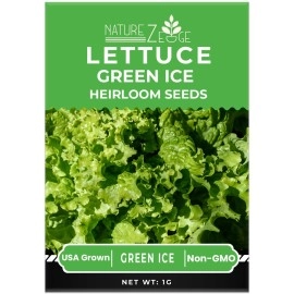 NatureZ Edge Lettuce Seeds for Planting, Red Romaine Lettuce, Bibb Butter Lettuce, Black Seeded Simpson, Green Ice Iceberg Lettuce, Non-GMO