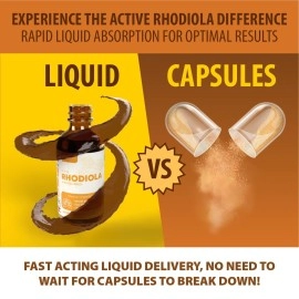 Rejuvica Health Active Rhodiola - Rhodiola Root Extract with Natural Rosavins - Liquid Delivery for Better Absorption - Supports Energy & Stress