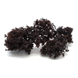 Red\'s Pure Botanicals Nature Inspired Wellness Irish Sea Moss - Wildcrafted Chondrus Crispus | Purple | USDA Certified Organic | Makes ~100oz of Seamoss Gel