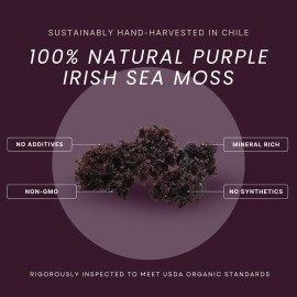 Red\'s Pure Botanicals Nature Inspired Wellness Irish Sea Moss - Wildcrafted Chondrus Crispus | Purple | USDA Certified Organic | Makes ~100oz of Seamoss Gel
