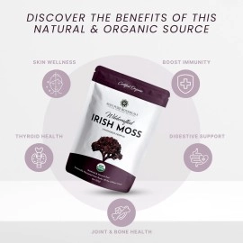 Red\'s Pure Botanicals Nature Inspired Wellness Irish Sea Moss - Wildcrafted Chondrus Crispus | Purple | USDA Certified Organic | Makes ~100oz of Seamoss Gel