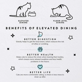 CatGuru Food Table (Sand)