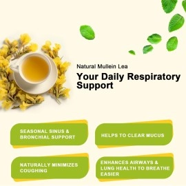 iMATCHME Mullein Leaf Tea - Respiratory and Lung Cleanse Herbal Tea, Caffeine Free, 30 Tea Bags