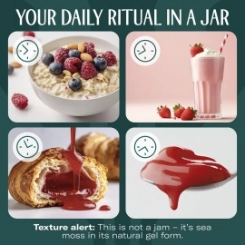 TrueSeaMoss Wildcrafted Irish Sea Moss Gel - Nutritious Organic Raw Seamoss Rich in Minerals, Proteins & Vitamins - Antioxidant Health Supplement, Vegan-Friendly Made in USA (Strawberry, Pack of 1)