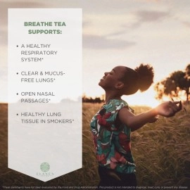 ELANEN naturals Organic Breathe Tea 4 oz. (113g), USDA Certified Organic Lung Tea, Bronchial Wellness Tea, Smokers Tea, Respiratory Tea, Gordo Lobo Herbs Tea, Mullein Detox Lungs Tea Organic