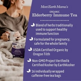 Earth Mama Organic Elderberry Immune Support Tea with Echinacea | Safe for Pregnancy, Breastfeeding, Postpartum, Kids and Family Essentials, Decaf Tea with Ginger & Rooibos, 16-Count (2-Pack)
