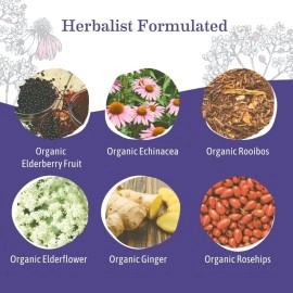 Earth Mama Organic Elderberry Immune Support Tea with Echinacea | Safe for Pregnancy, Breastfeeding, Postpartum, Kids and Family Essentials, Decaf Tea with Ginger & Rooibos, 16-Count (2-Pack)