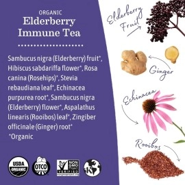 Earth Mama Organic Elderberry Immune Support Tea with Echinacea | Safe for Pregnancy, Breastfeeding, Postpartum, Kids and Family Essentials, Decaf Tea with Ginger & Rooibos, 16-Count (2-Pack)
