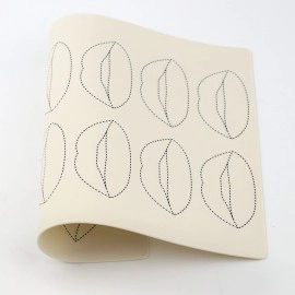 Guapa Silicone Lip Practice Skin 2pcs Lip Permanent Makeup Practice Skin Double Sides Microblading Training Sheets for Tattoo Artists and Beginners (2pcs)