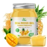 OALSE Sea Moss Gel - 18.5oz Mango Pineapple Flavor Sea Moss Gel Organic Raw Nutritious Organic Sea Moss Gel in Minerals, Proteins & Vitamins, Vegan-Friendly