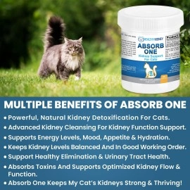Kidney Restore Cat Support Supplement for Normal Function in Cats. Natural Feline Cleanse Take with Any Cat Diet Food. Vet-Formulated 1/8 TSP a Day 60 Servings: Absorb One