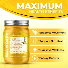 WELLNESS LABSRX Sea Moss Gel Pineapple Flavor 10 oz.