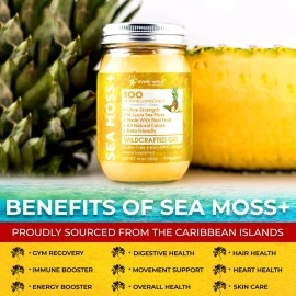 WELLNESS LABSRX Sea Moss Gel Pineapple Flavor 10 oz.