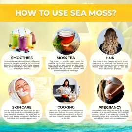 WELLNESS LABSRX Sea Moss Gel Pineapple Flavor 10 oz.