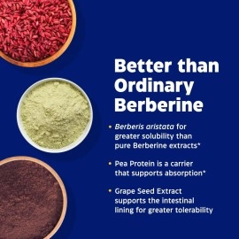 Enzymedica Berberine Phytosome 60 Capsules | Vegan Dietary Supplement for Healthy Blood Sugar Metabolism