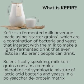 The Spirit Of The Forest Milk Kefir Grains DIY Dairy Non-GMO Probiotic Drink Limitless Heirloom Starter Easy Dried Lebanese, Reusable Kefir Grains for Infinite Supply of Kefir, Up to 3 Weeks Shelf